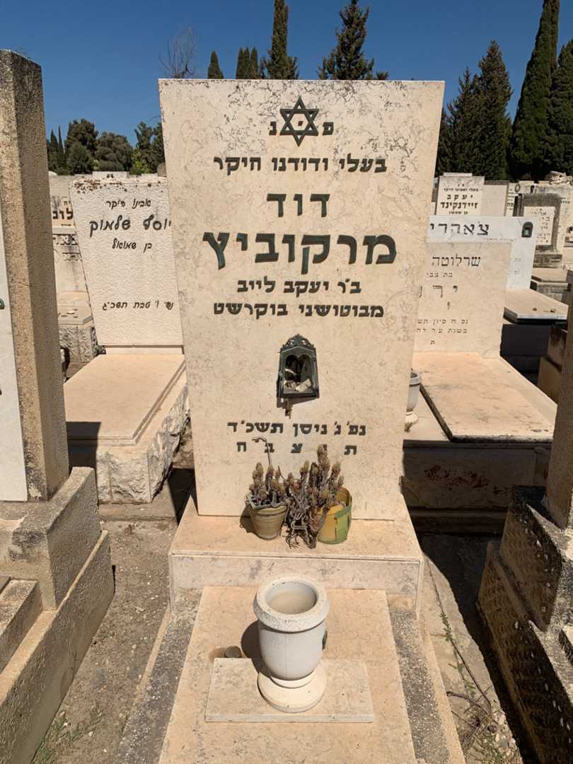 קברו של דוד מרקוביץ. תמונה 1