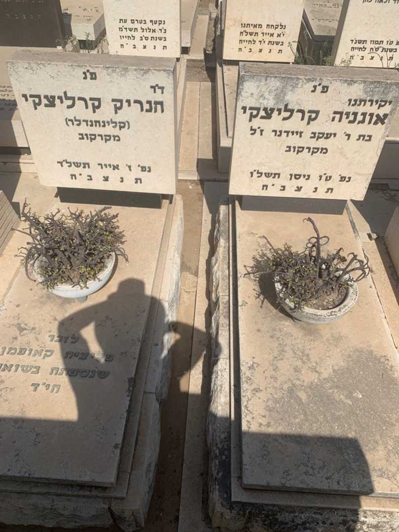 קברו של פליציה קאופמן. תמונה 2