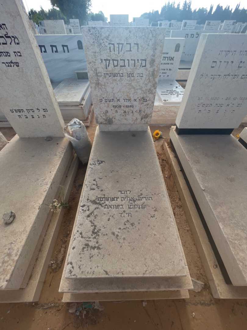 קברו של נתן ברנשטיין