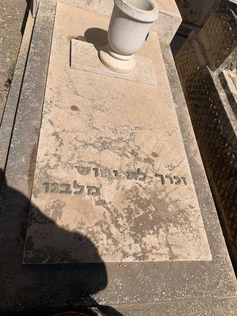 קברו של דוד מרקוביץ. תמונה 2