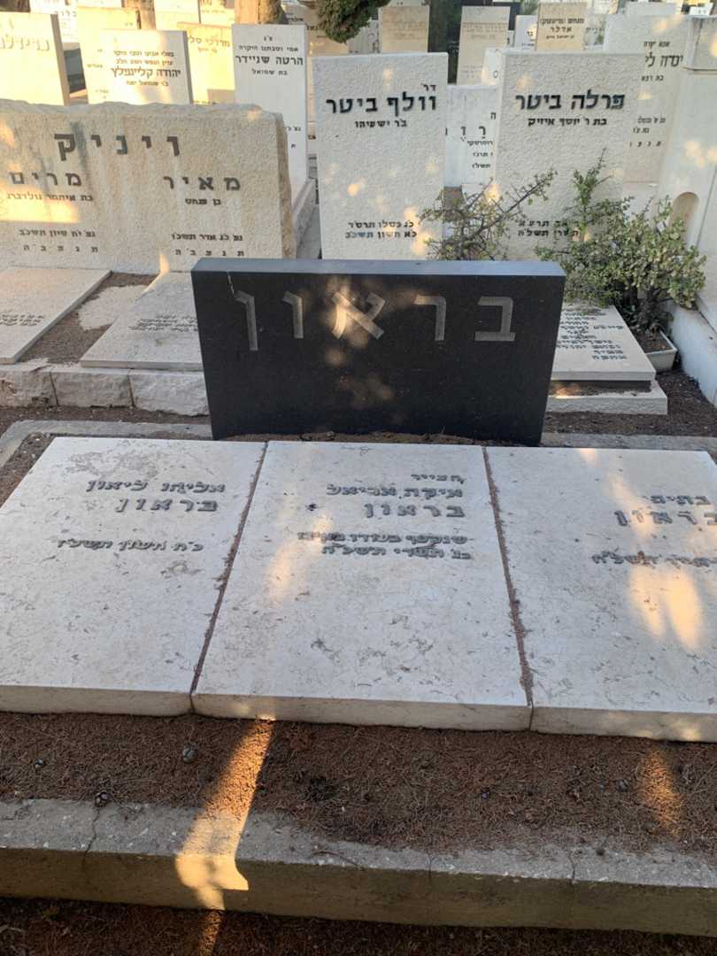 קברו של איקה אריאל בראון. תמונה 1