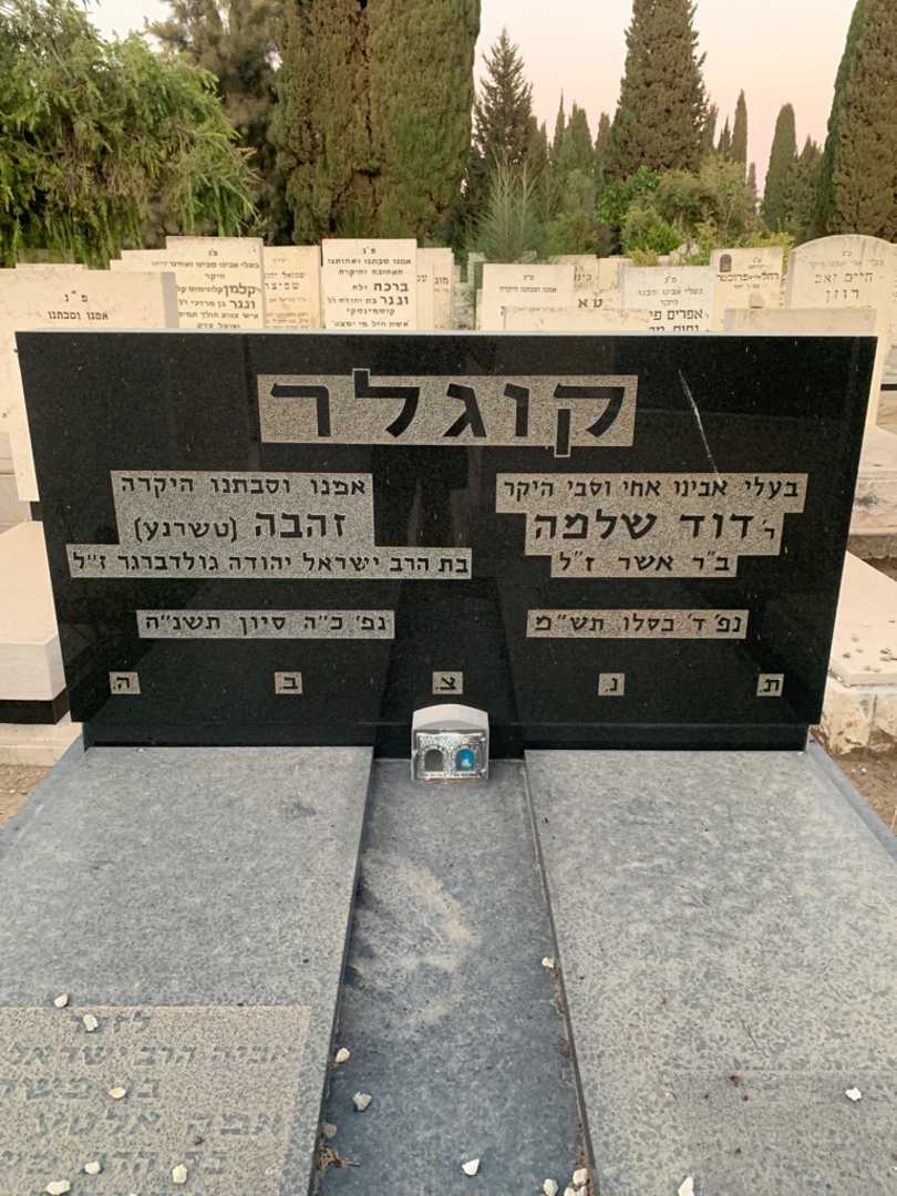 קברו של זהבה "טשרנע" קוגלר. תמונה 1