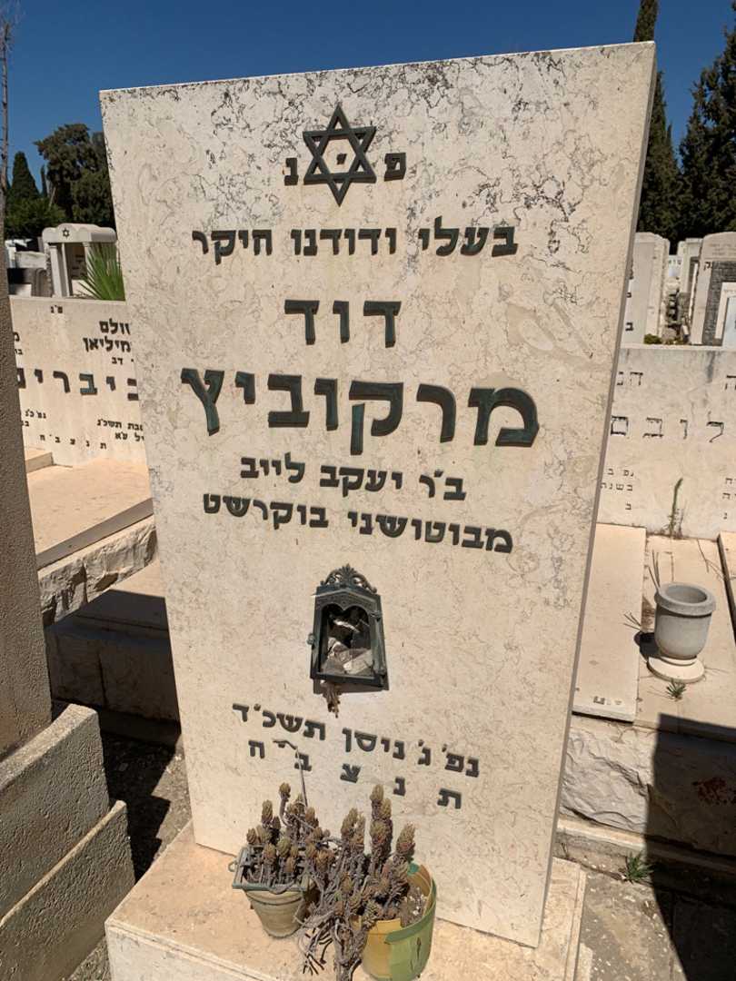 קברו של דוד מרקוביץ. תמונה 3