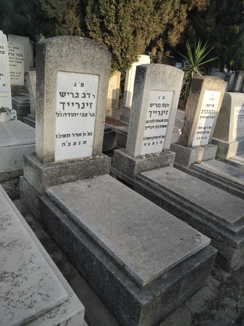 קברו של דב בריש זינרייך. תמונה 1