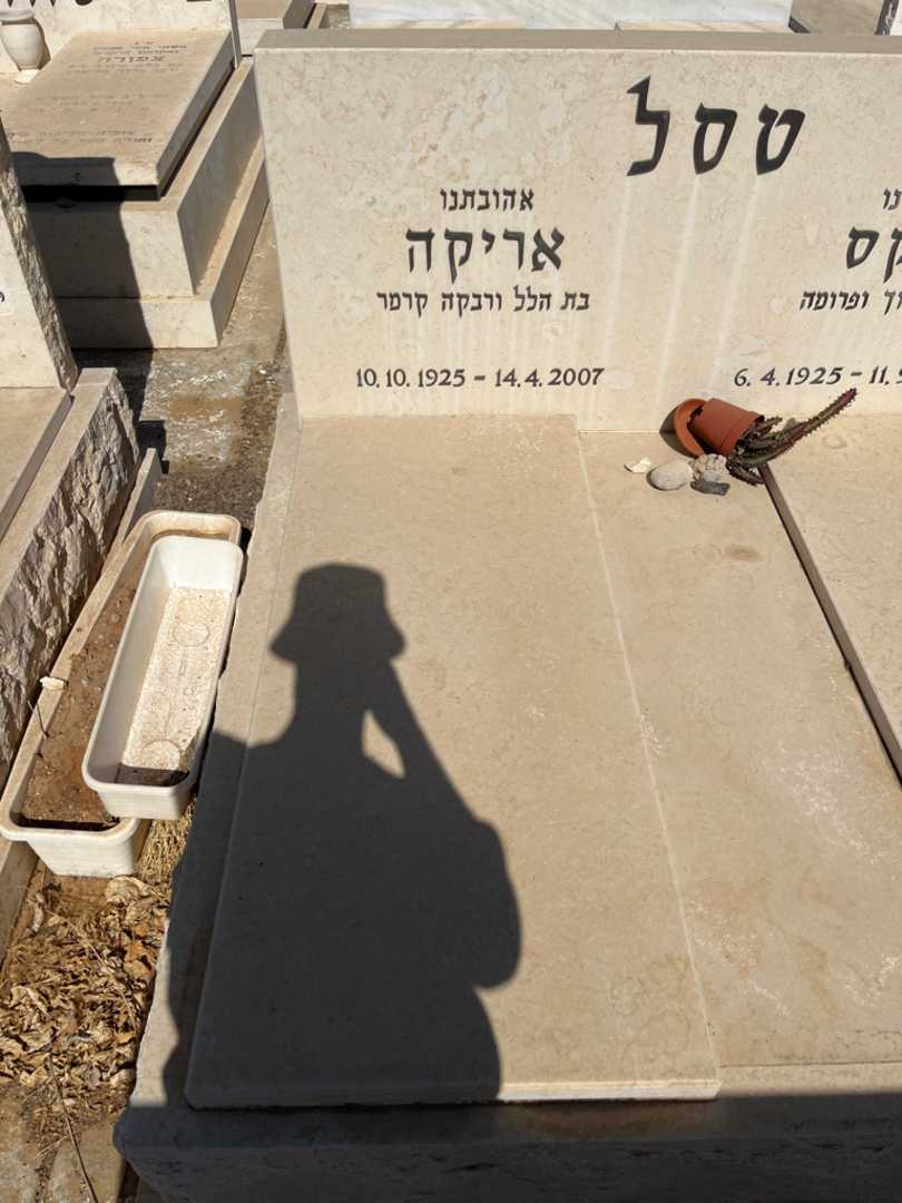 קברו של אריה טסל. תמונה 1