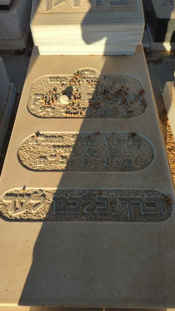 קברו של רוזליס צדוק. תמונה 2