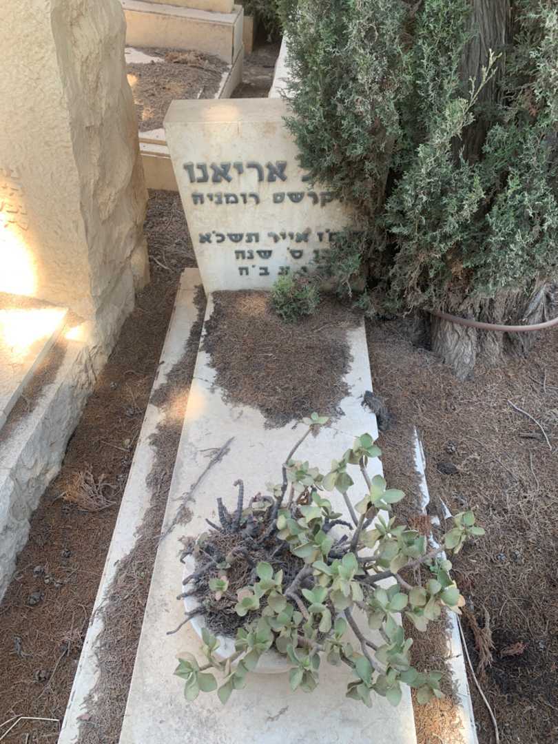 קברו של פאול אריאנו. תמונה 1