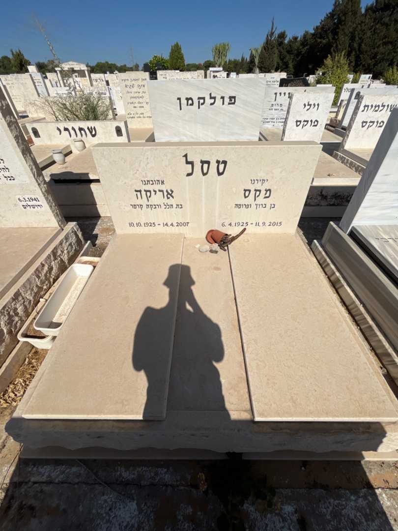 קברו של אריה טסל. תמונה 2