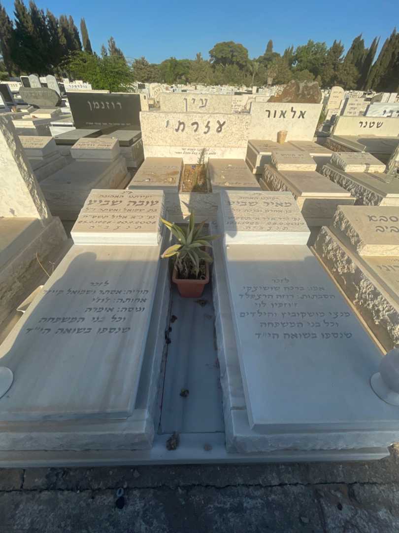 קברו של מנצי מושקוביץ. תמונה 1