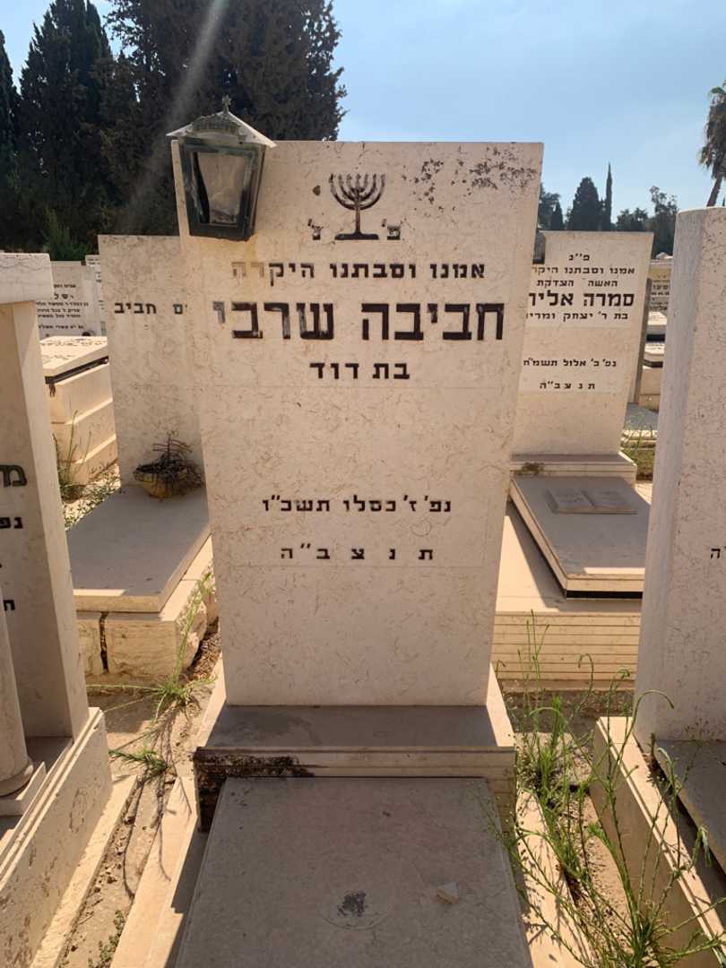 קברו של חביבה שרבי. תמונה 1