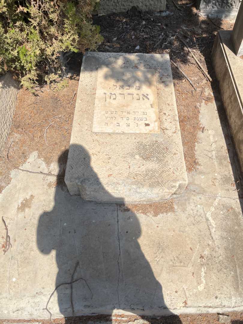 קברו של מיכאל אנדרמן