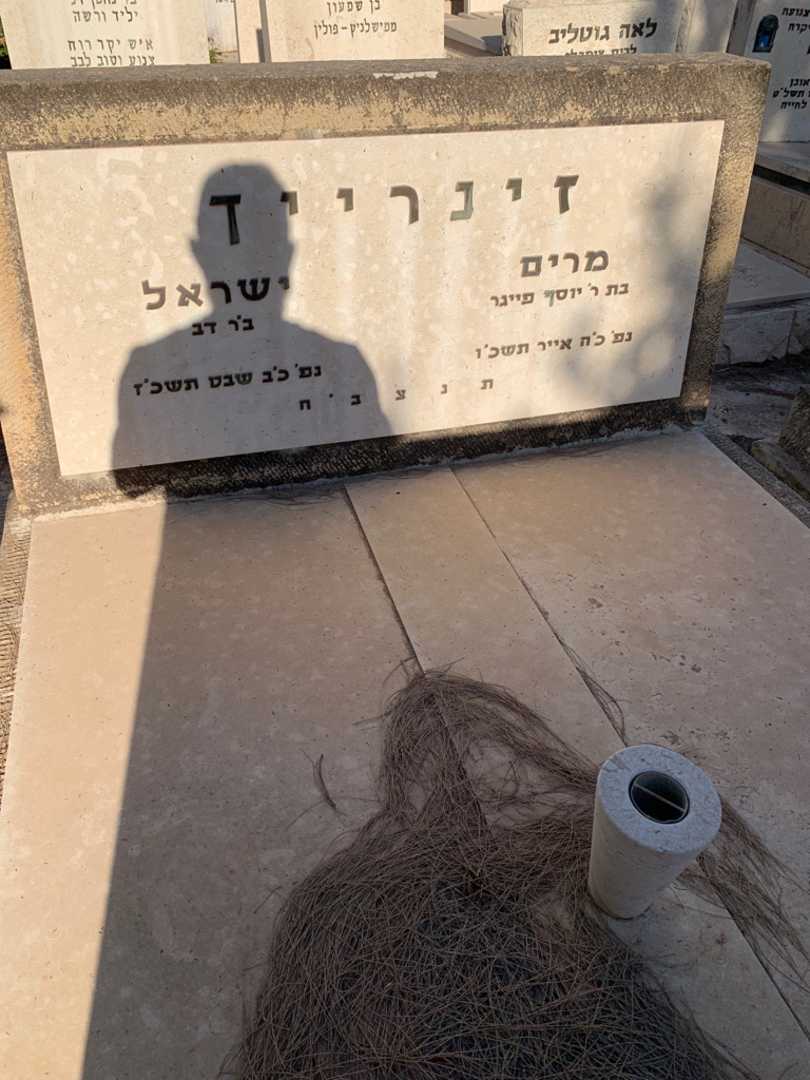 קברו של ישראל זינרייך. תמונה 2