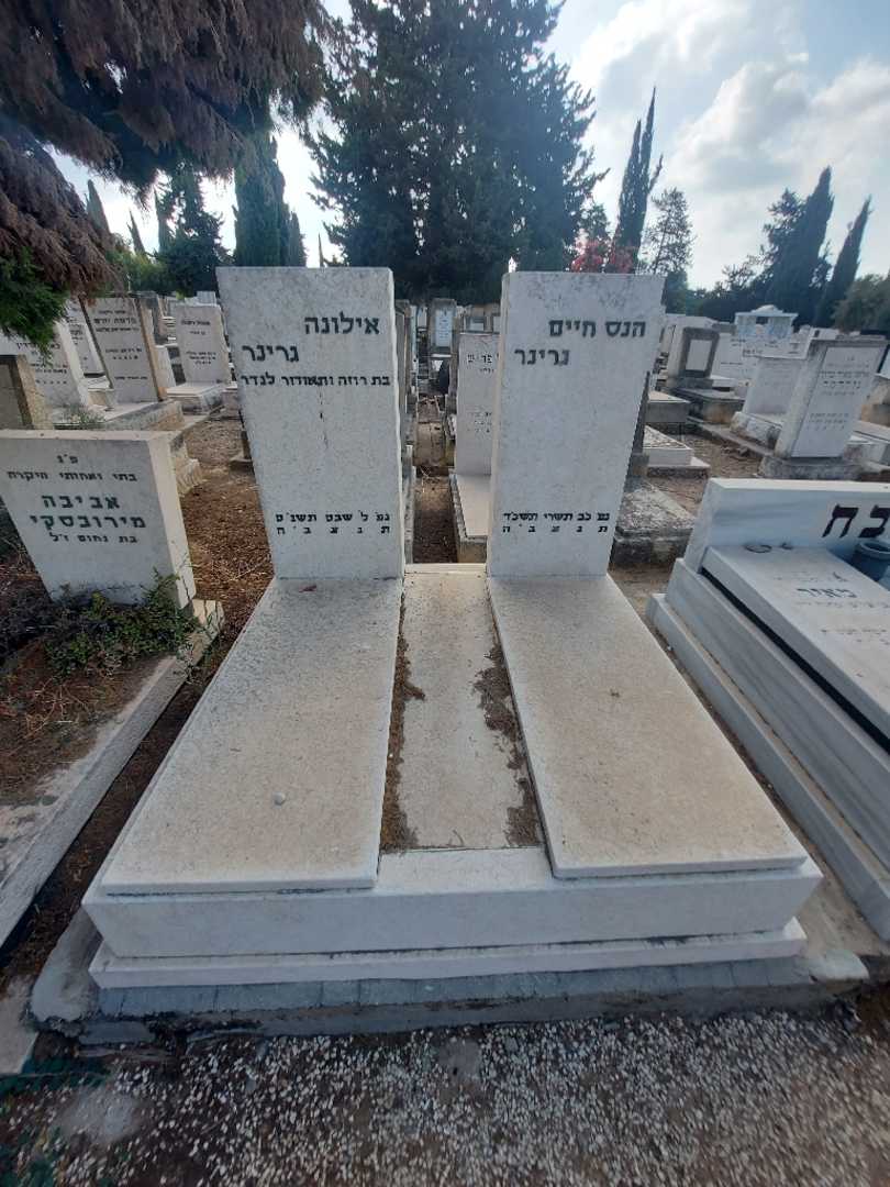 קברו של הנס חיים גרינר. תמונה 1