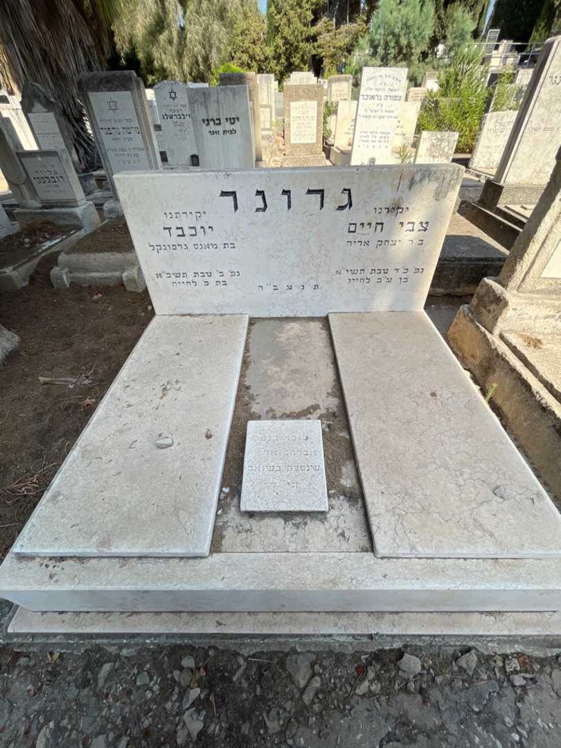קברו של צבי חיים גרונר. תמונה 1