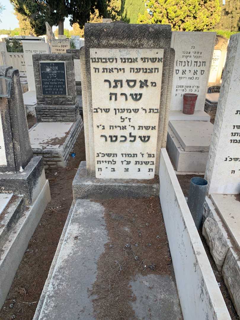 קברו של אסתר שרה שלכטר. תמונה 1