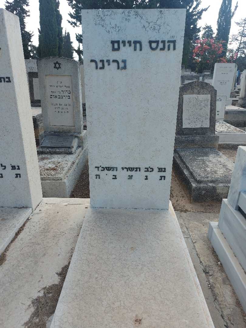 קברו של הנס חיים גרינר. תמונה 2