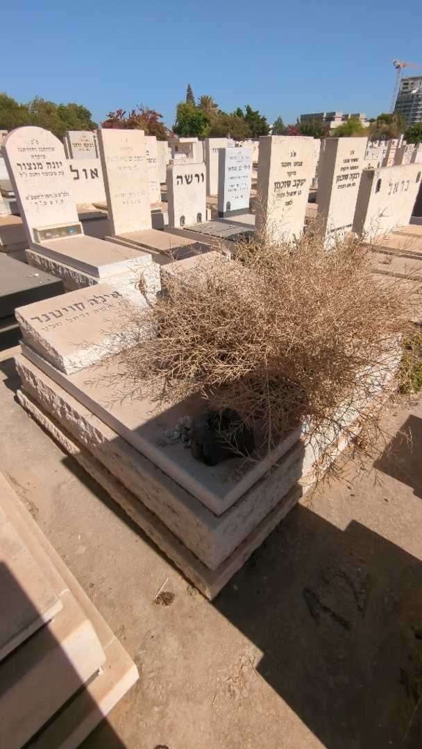 קברו של שמעון קויטנר. תמונה 2