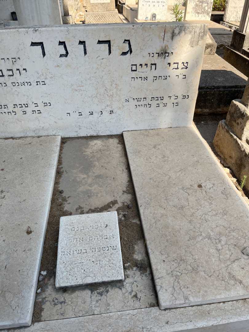 קברו של צבי חיים גרונר. תמונה 2