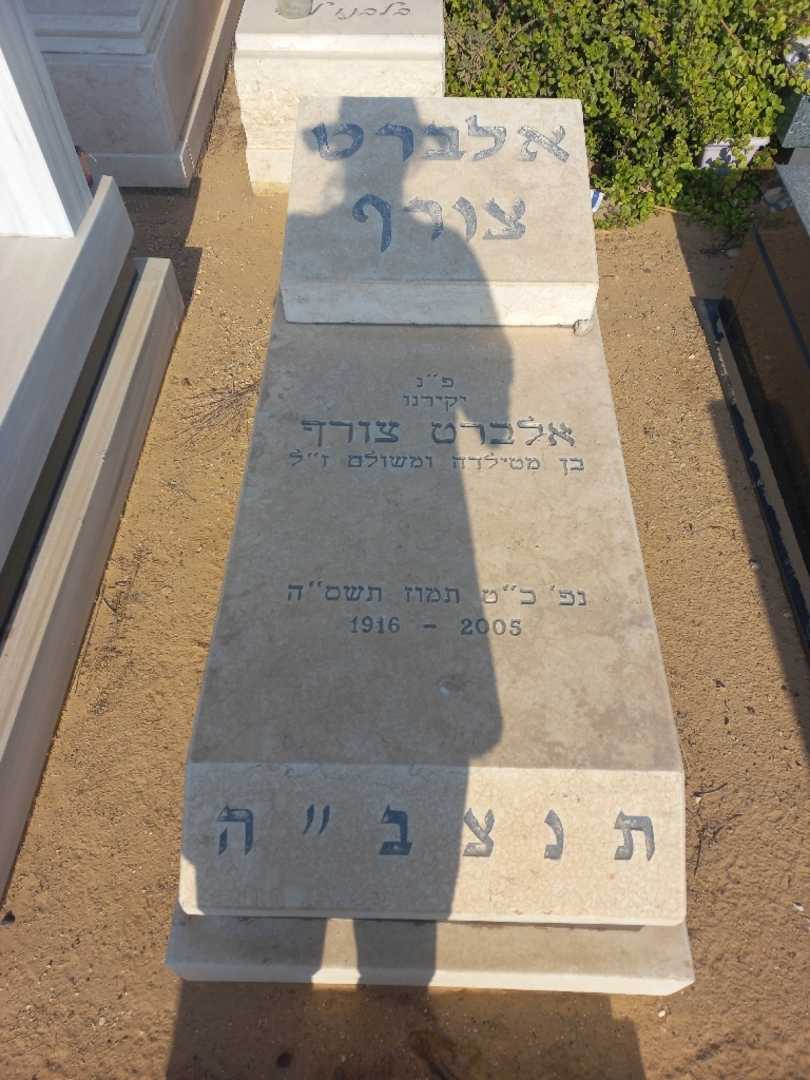 קברו של אלברט צורף