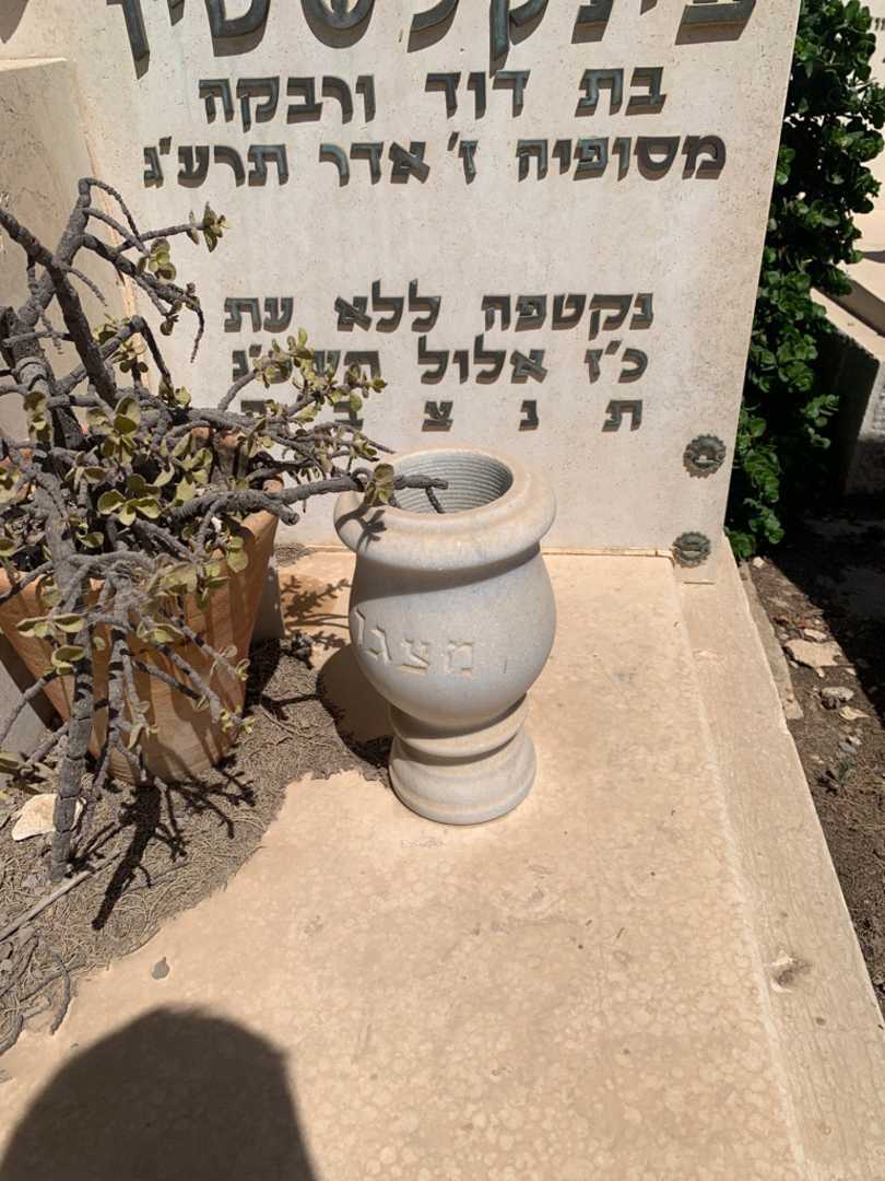 קברו של אסתר דאנו פינקלשטין. תמונה 4