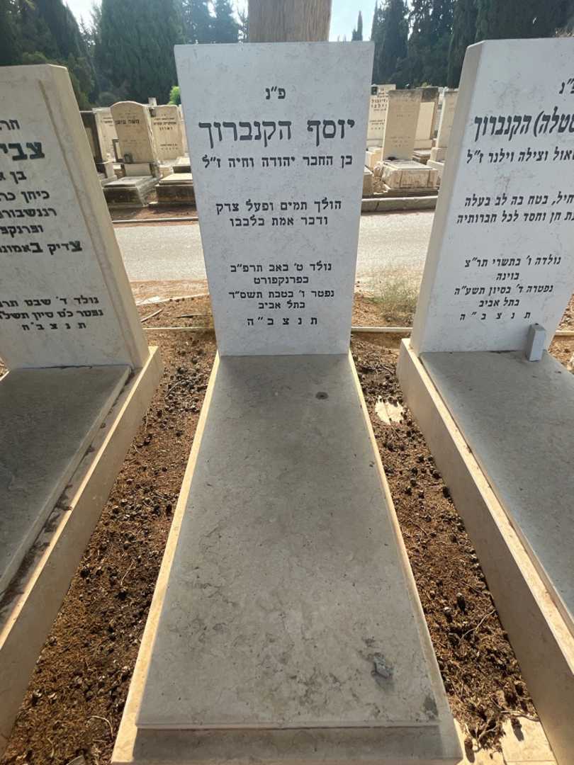 קברו של יוסף הקנברוך. תמונה 2