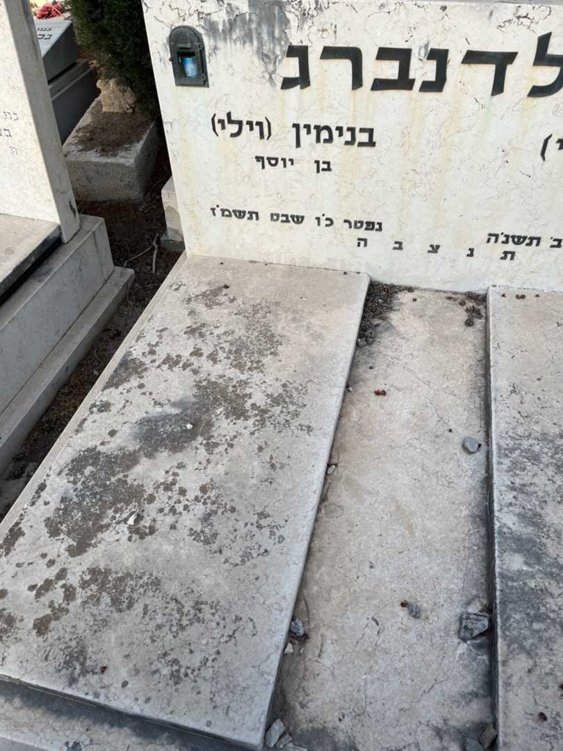 קברו של בנימין "וילי" גולדנברג. תמונה 2