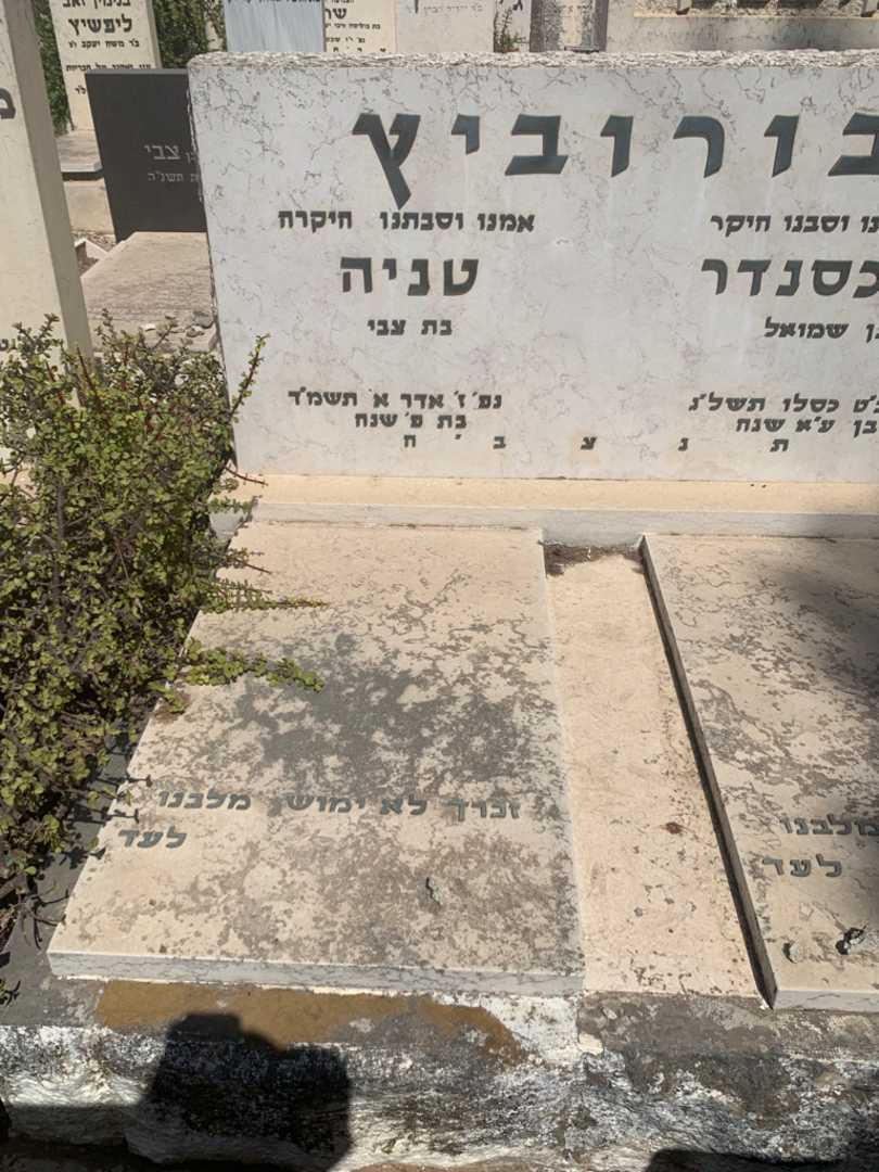 קברו של טניה בורוביץ. תמונה 1