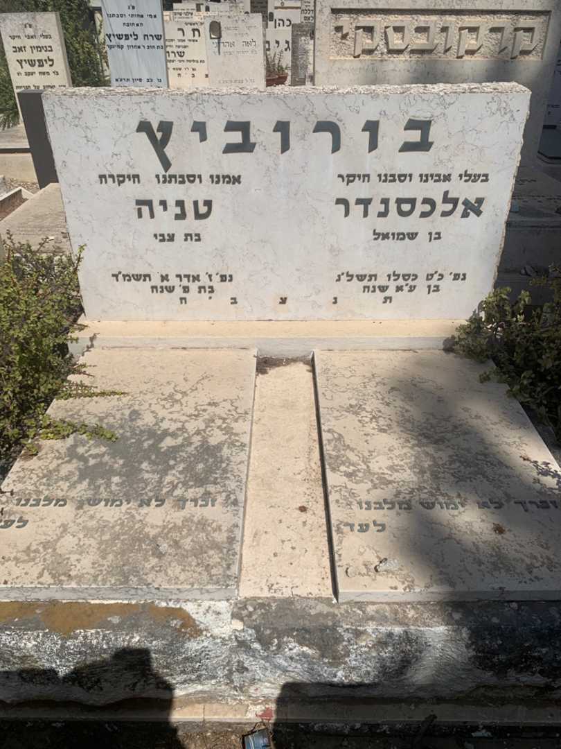 קברו של טניה בורוביץ. תמונה 2