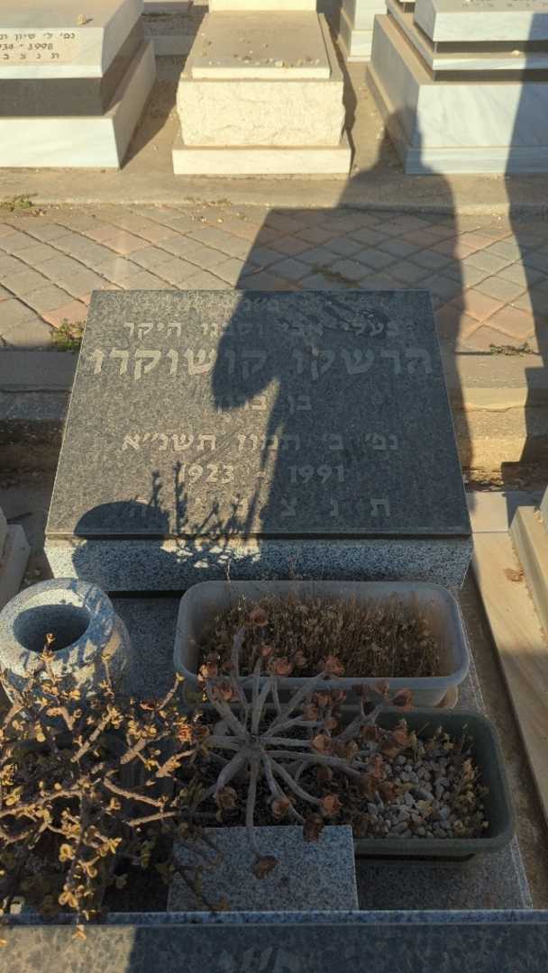 קברו של הרשקו קושוקרו. תמונה 2