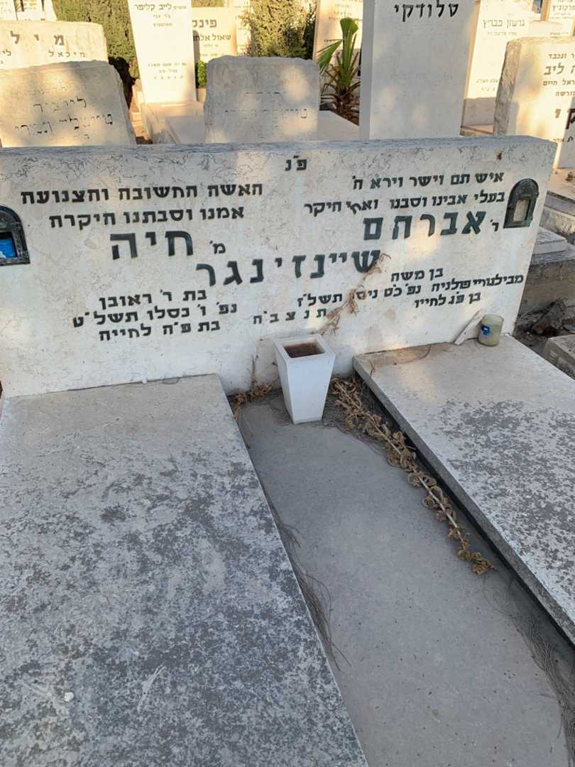 קברו של חיה שיינזינגר. תמונה 2