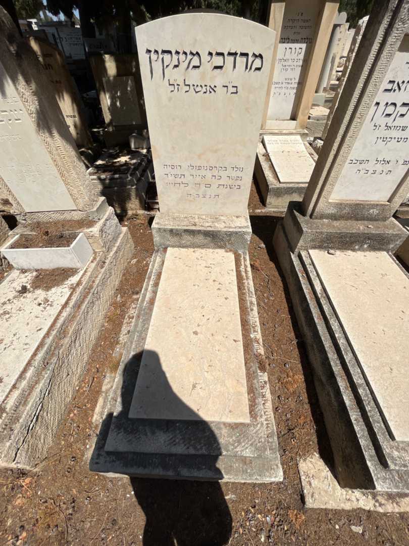 קברו של מרדכי מינקין