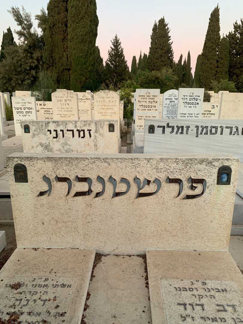 קברו של דינה פרשטנברג. תמונה 1