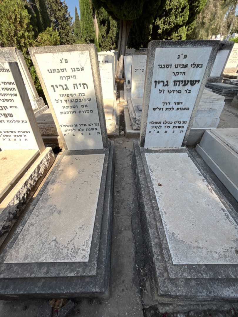 קברו של חיה גרין שליבקוביץ. תמונה 2