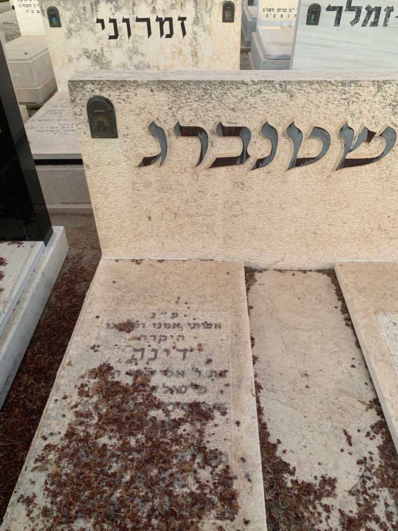 קברו של דינה פרשטנברג. תמונה 2
