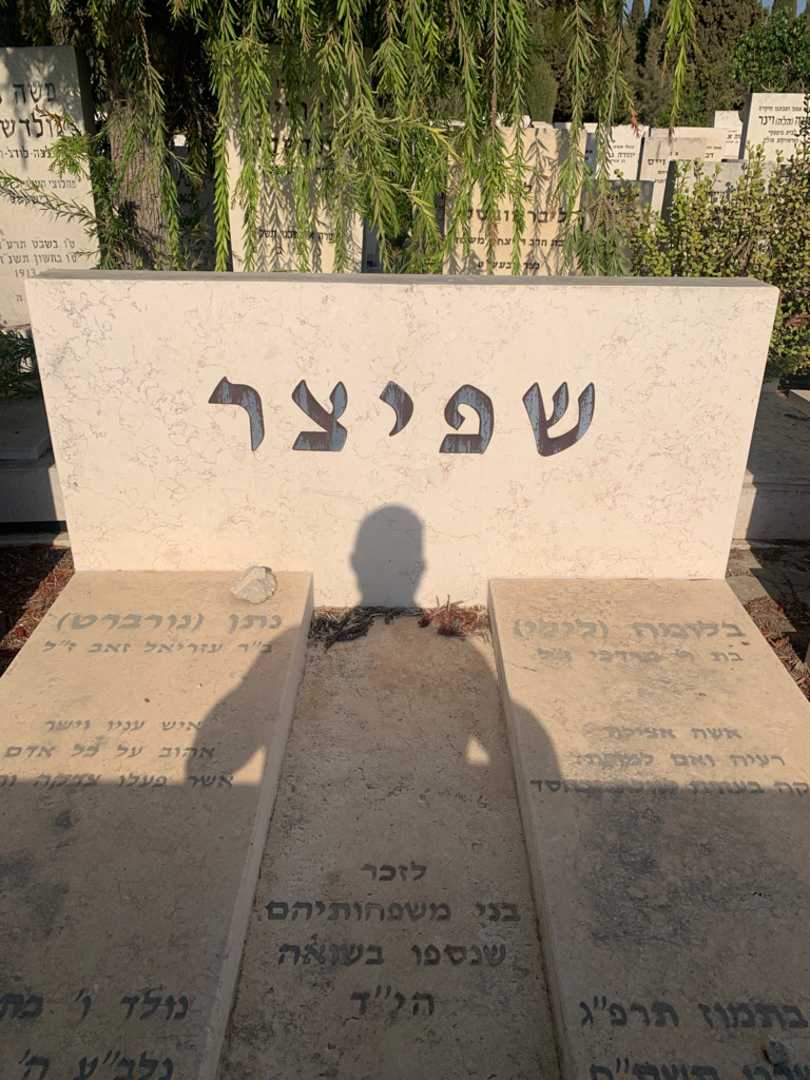 קברו של בלומה "לילי" שפיצר. תמונה 1