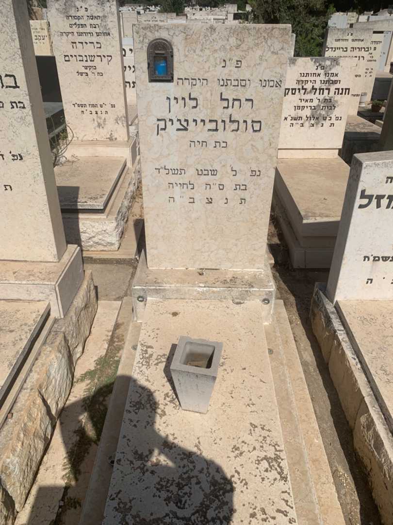 קברו של רחל לוין סולובייציק