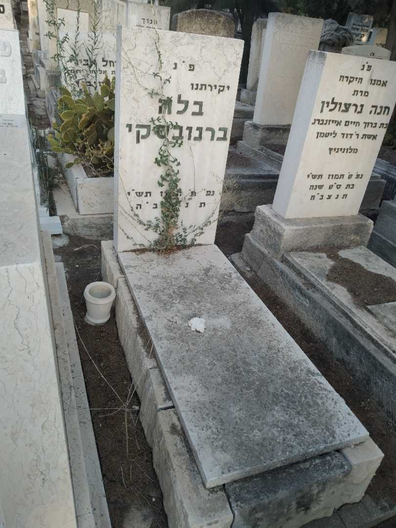 קברו של בלה ברנובסקי