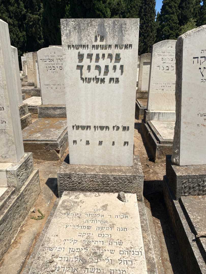 קברו של משה שמולביץ