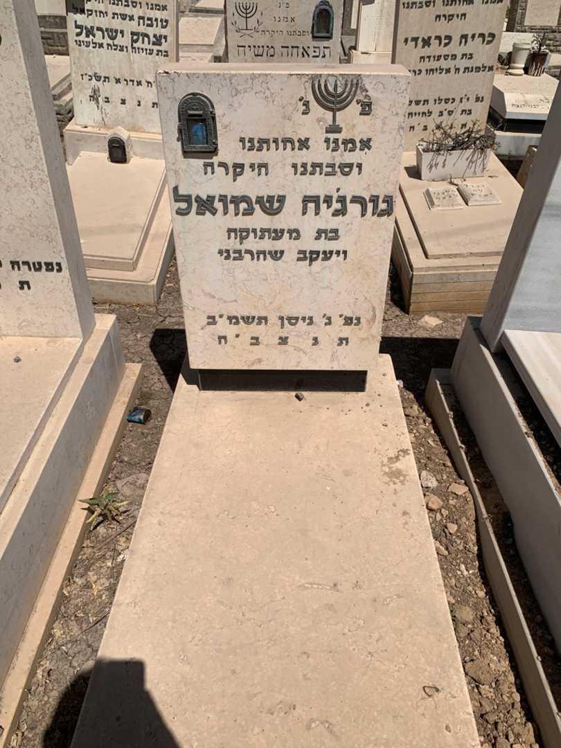 קברו של גורג׳יה שמואל. תמונה 1