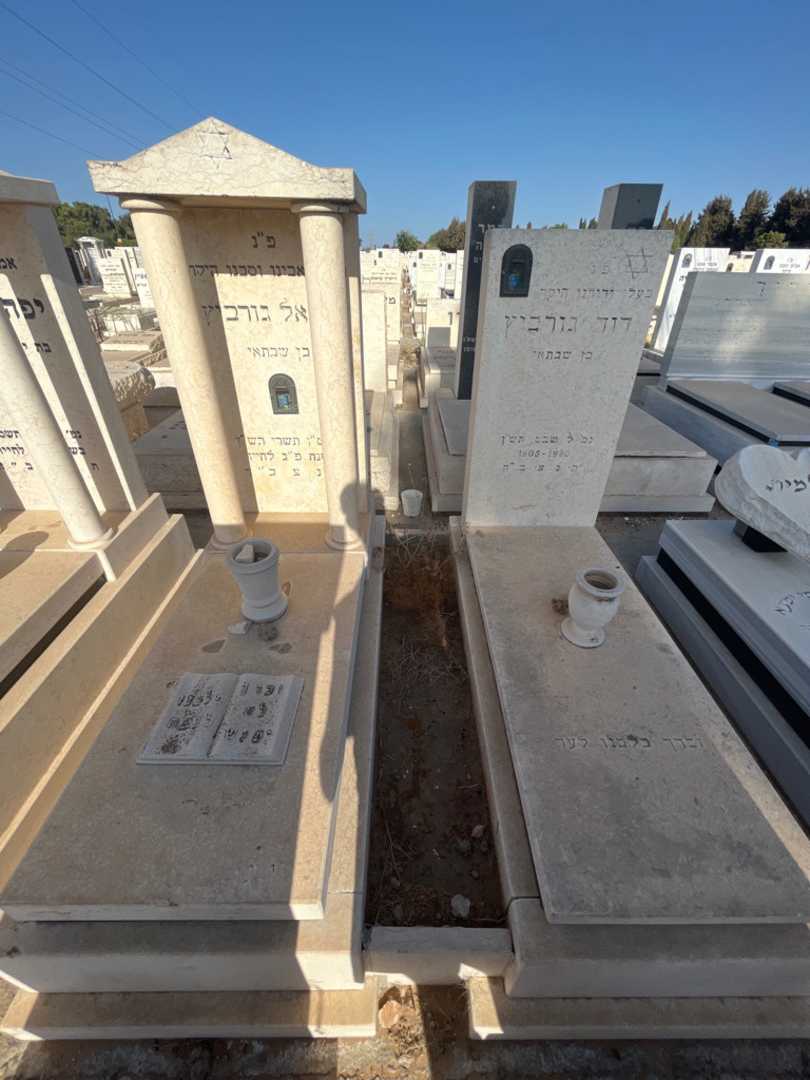 קברו של דוד גורביץ. תמונה 2