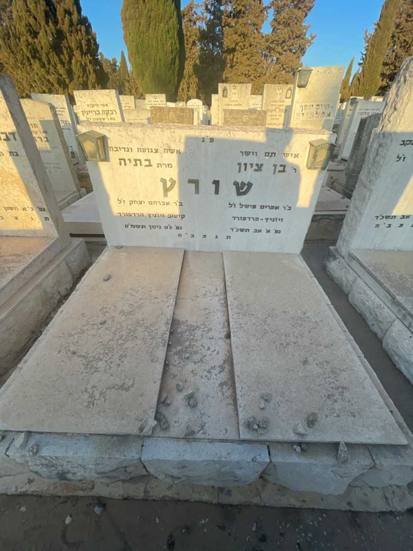 קברו של בן ציון שורץ. תמונה 1