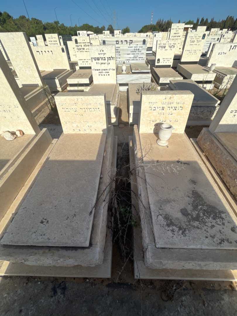 קברו של זיגמונד צויבל. תמונה 1