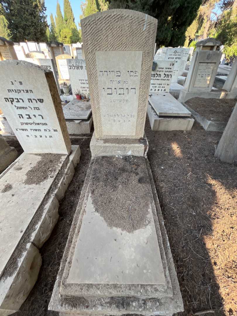 קברו של פסי פרידה רובובי
