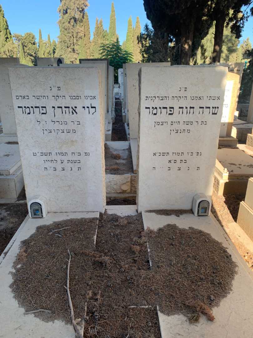 קברו של לוי אהרן פרומר. תמונה 1