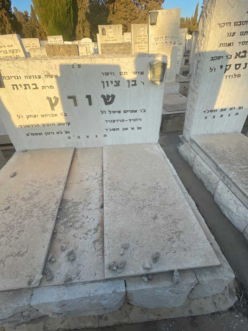 קברו של בן ציון שורץ. תמונה 2