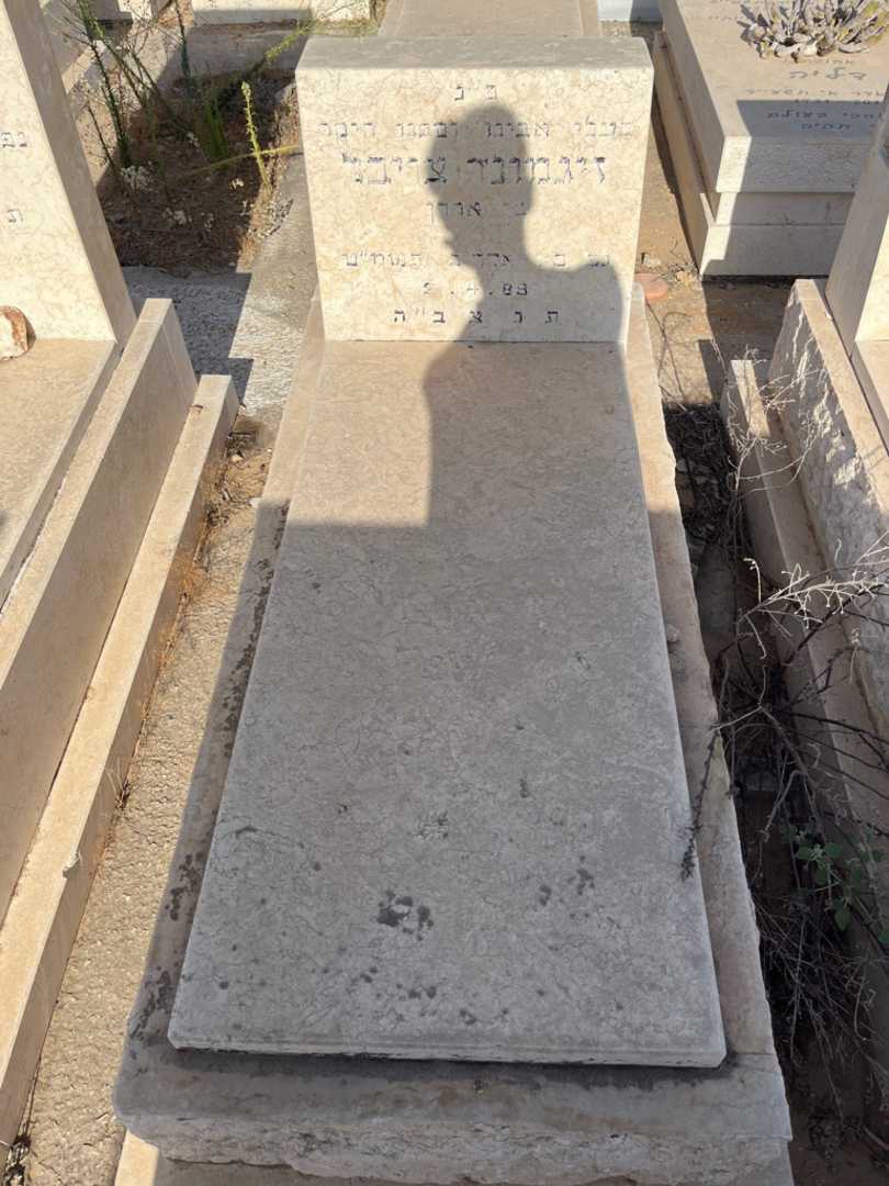 קברו של זיגמונד צויבל. תמונה 2