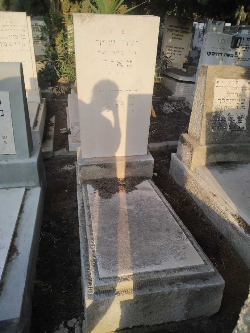 קברו של חוה שרה טאוב