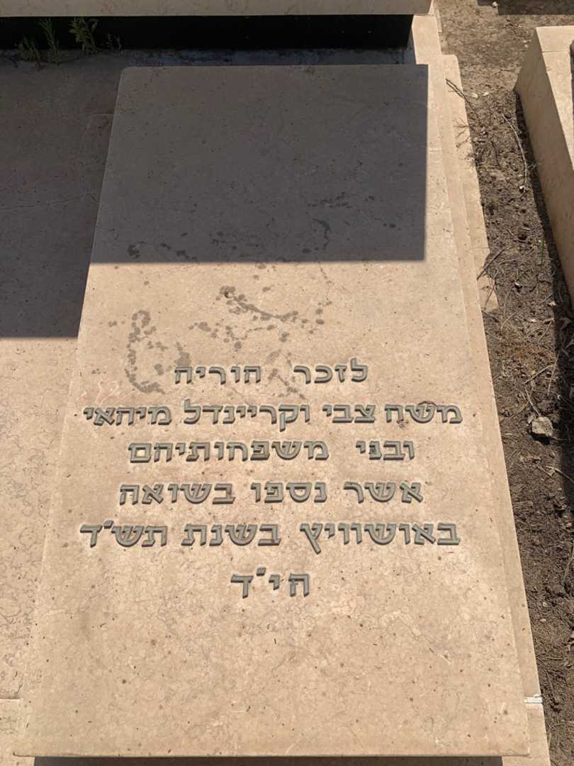 קברו של מרים מרקוביץ. תמונה 2
