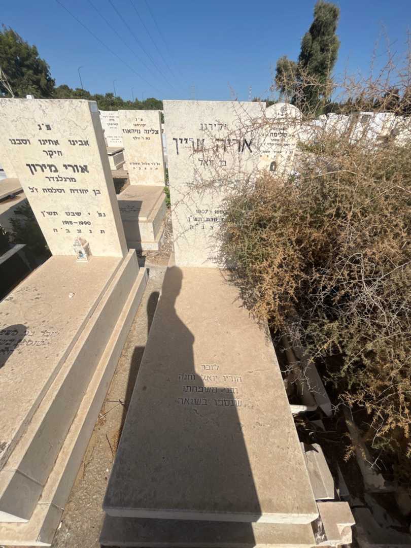 קברו של אריה שיין. תמונה 1