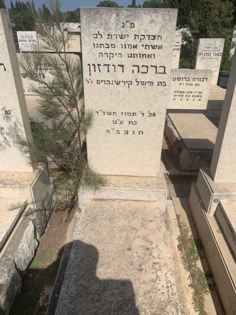 קברו של ברכה דודזון. תמונה 1
